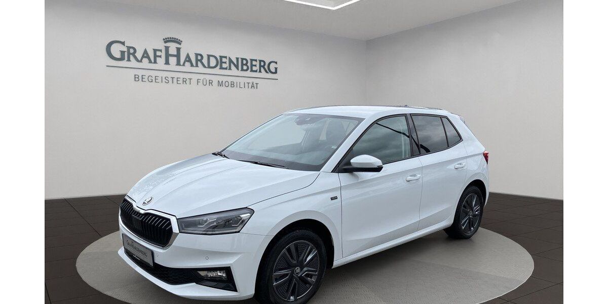Skoda Fabia 23.100 km 23.490 &euro; Radolfzell 78315