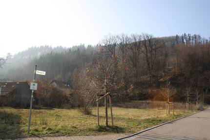 Grundstück Hausen - 150.000&euro; | Angebot:25679630