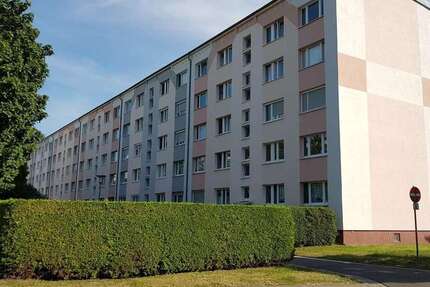 Wohnung Neukieritzsch - 2 Zimmer, 47 m&sup2;, 330&euro; | Angebot:27349804