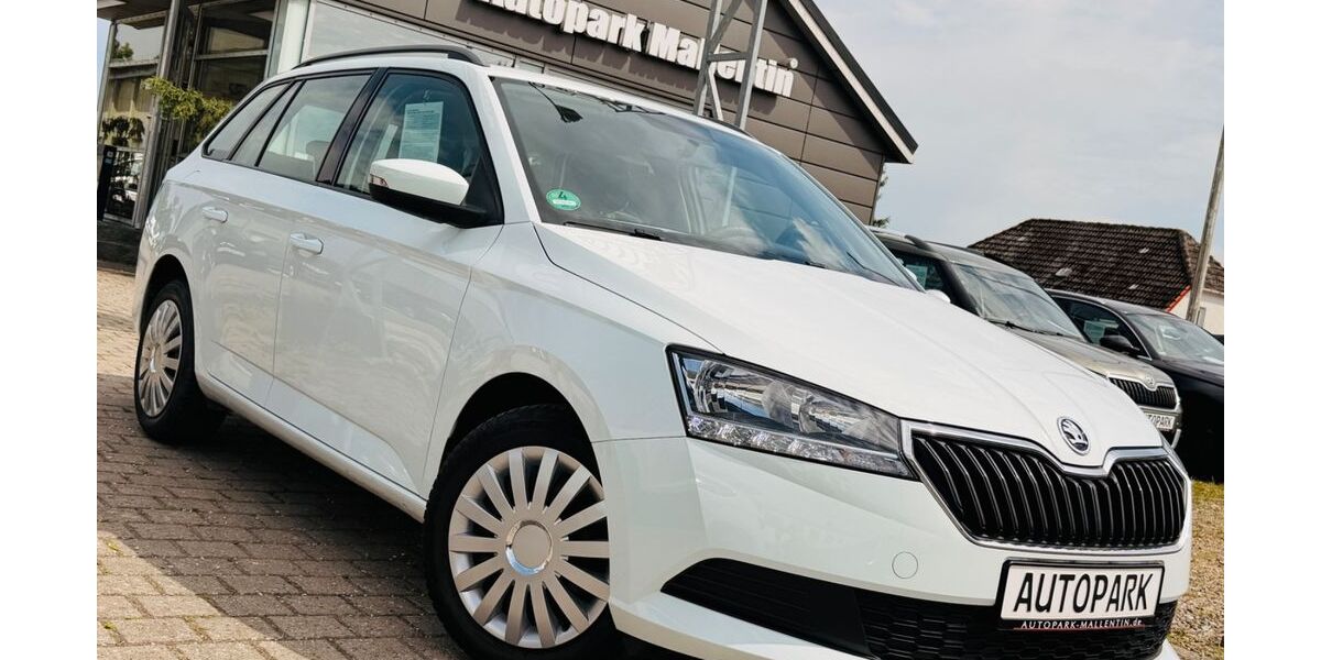 Skoda Fabia 74.000 km 10.899 &euro; Stepenitztal 23936