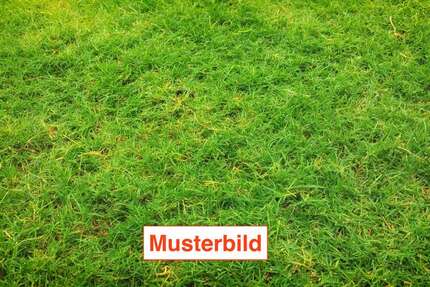 Grundstück Sankt Augustin - 305.000&euro; | Angebot:25526272