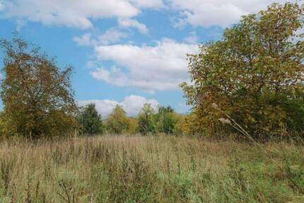 Baugrundstück in ruhiger Lage von Reuth (Forchheim) - 506 m², ohne Bauzwang zimmer