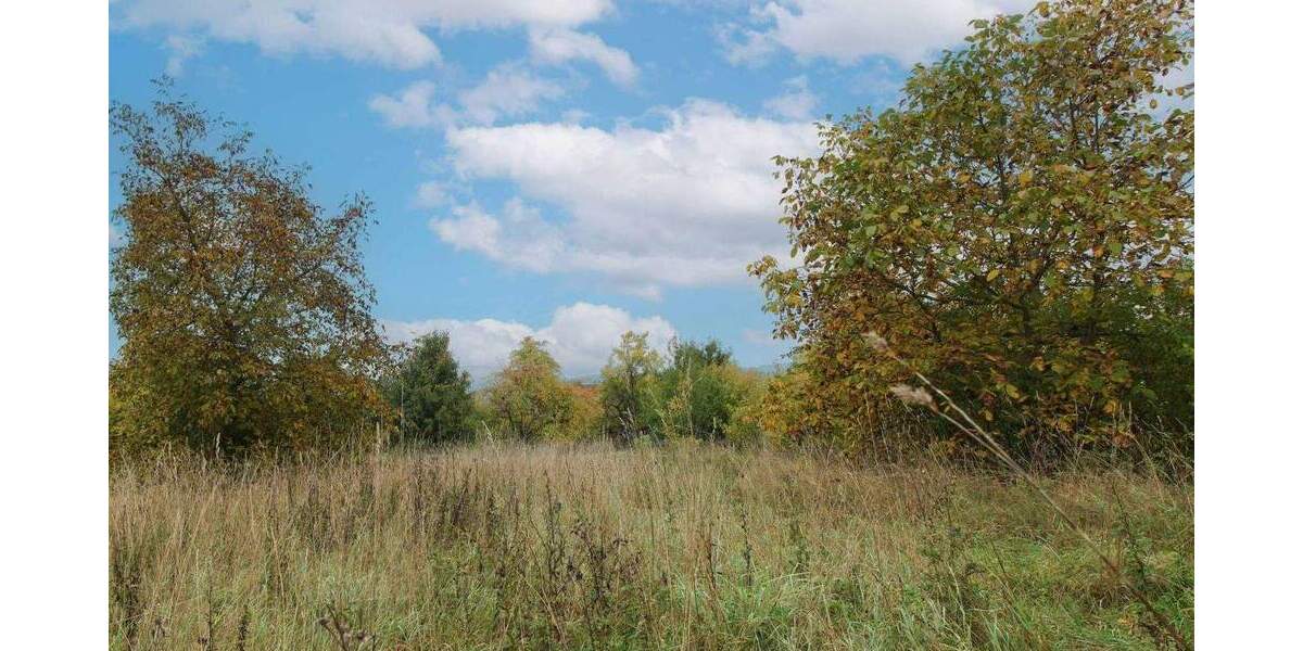 Baugrundstück in ruhiger Lage von Reuth (Forchheim) - 506 m², ohne Bauzwang zimmer