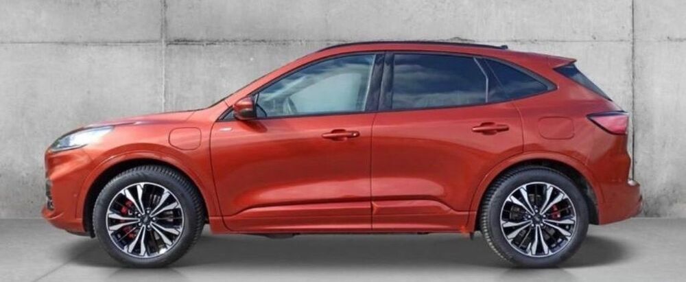 Kuga