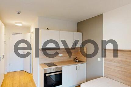 Haus Hamburg Hamburg-Mitte - 1 Zimmer, 29 m&sup2;, 907&euro; | Angebot:26271446