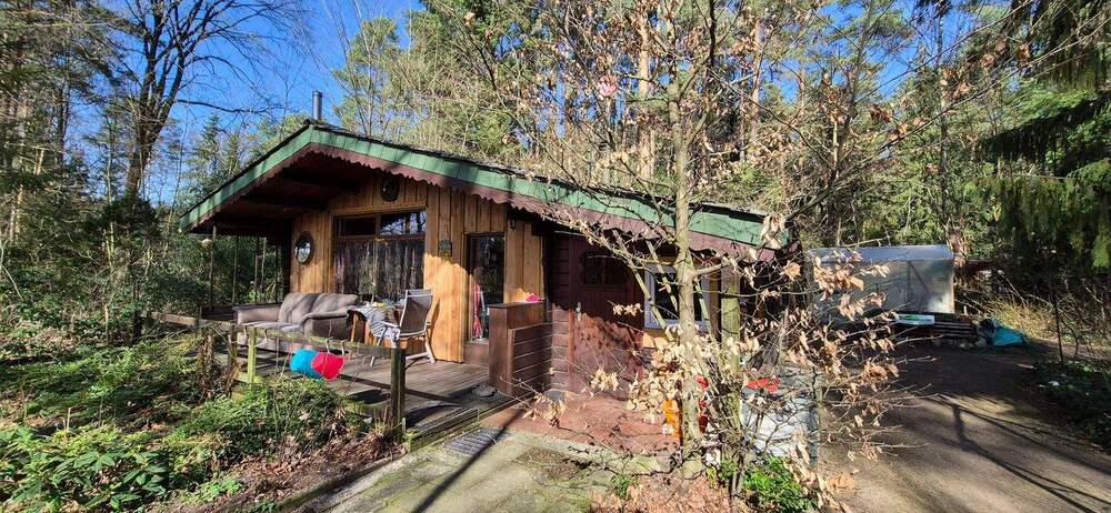 Idyllisches Blockhaus in gefühlter Alleinlage auf großem Grundstück - Bungalow Hitzacker Harlingen | Angebot:24917759