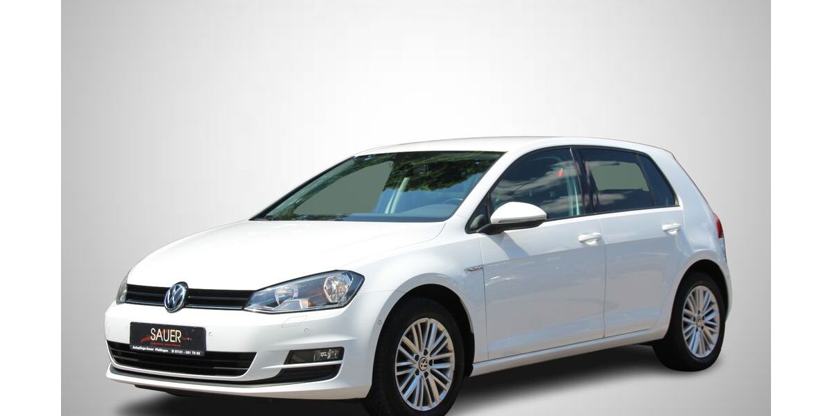 VW Golf 121.800 km 11.980 &euro; Pfullingen 72793