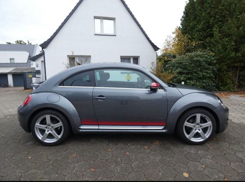Beetle