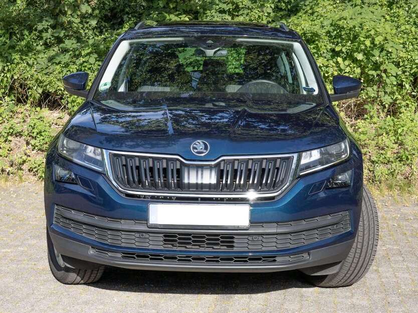 Skoda Kodiaq 47.000 km 21.900 € Hamburg 22143