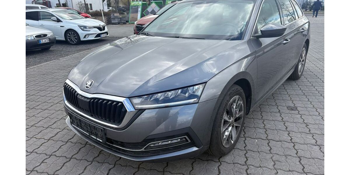 Skoda Octavia 168.459 km 14.490 &euro; Elsterwerda 04910