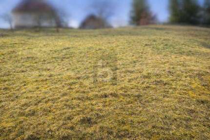 Grundstück Baiersbronn - 69.000&euro; | Angebot:26050117