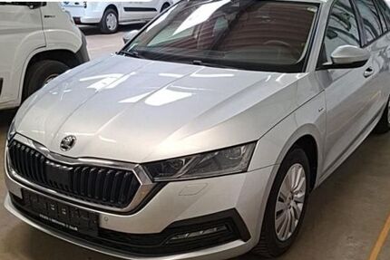 Skoda Octavia 82.626 km 18.950 &euro; Steinbach-Hallenberg OT Herges-Hallenberg 98587