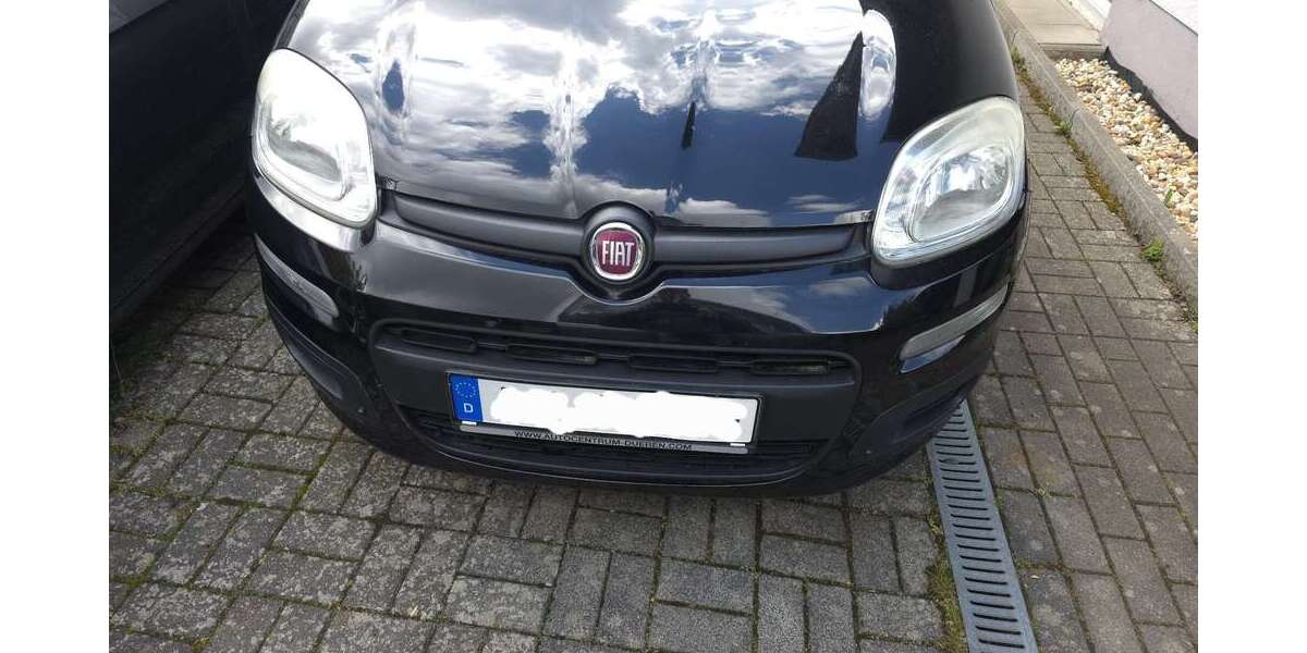 Fiat New Panda 100.229 km 6.000 &euro; Blasweiler (Heckenbach) 53506