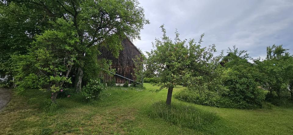 Einfamilienhaus Königstein - 9 Zimmer, 274 m&sup2;, 490.000&euro; | Angebot:26905694