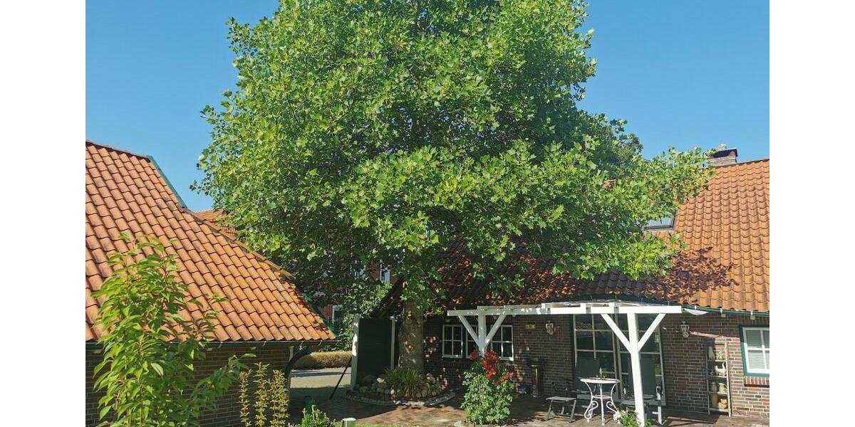 Einfamilienhaus Westerholt - 4 Zimmer, 121 m&sup2;, 395.000&euro; | Angebot:27143098