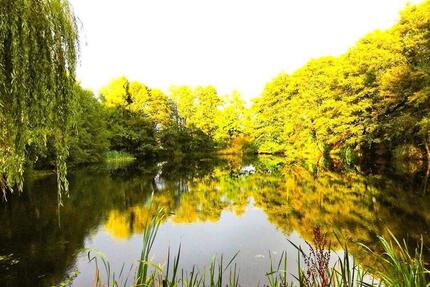 Haus, Traumhaus am eigenen See bei Großenwiehe, Nähe zu Flensburg zimmer