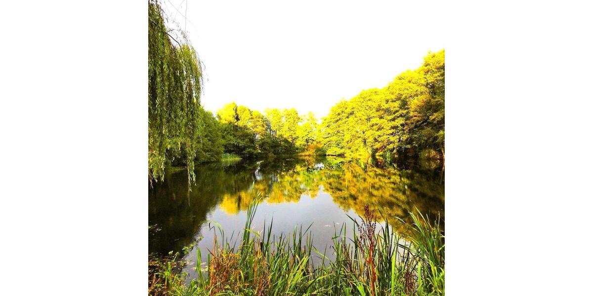 Haus, Traumhaus am eigenen See bei Großenwiehe, Nähe zu Flensburg zimmer