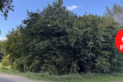 HORN IMMOBILIEN ++ Grundstück in Göritz zwischen Pasewalk und Prenzlau zimmer