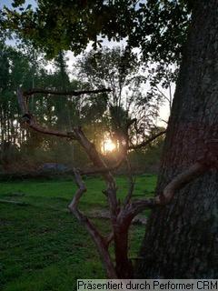Grundstück für Tiny House oder Wohnwagen mit Straßenzulassung in der Feldschütt Auch für Naturliebhaber, Gartenfreunde und... zimmer