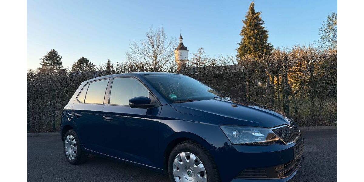 Skoda Fabia 128.900 km 5.690 &euro; Warendorf 48231