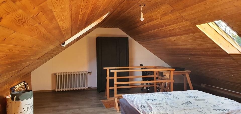 Dachgeschoßwohnung Gießen Schlangenzahl - 1 Zimmer, 55 m&sup2;, 510&euro; | Angebot:25379371