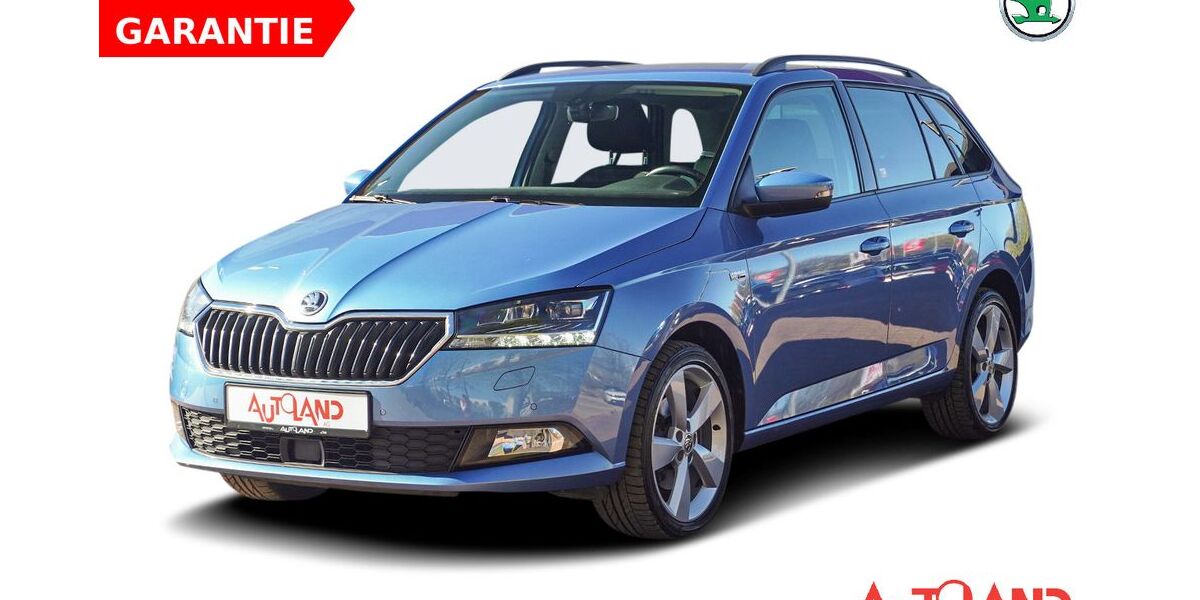 Skoda Fabia 63.841 km 17.990 &euro; Dresden 01239
