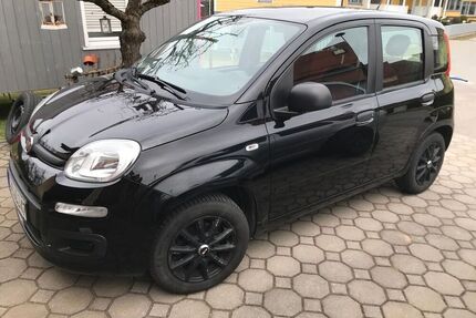 Fiat New Panda