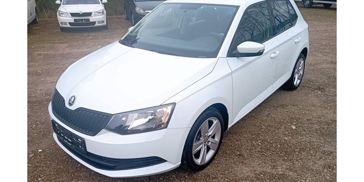 Skoda Fabia 65.000 km 7.400 &euro; Nordhorn 48527