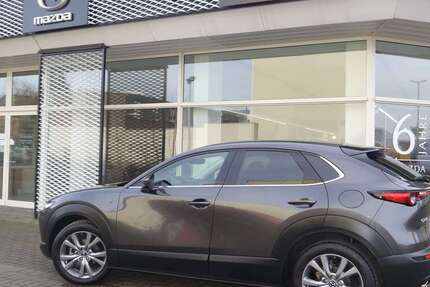 Mazda CX-30 3.000 km 30.800 € Schönebeck 39218