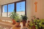Einfamilienhaus Emmerthal Groß Berkel - 9 Zimmer, 192 m&sup2;, 300.000&euro; | Angebot:26176304