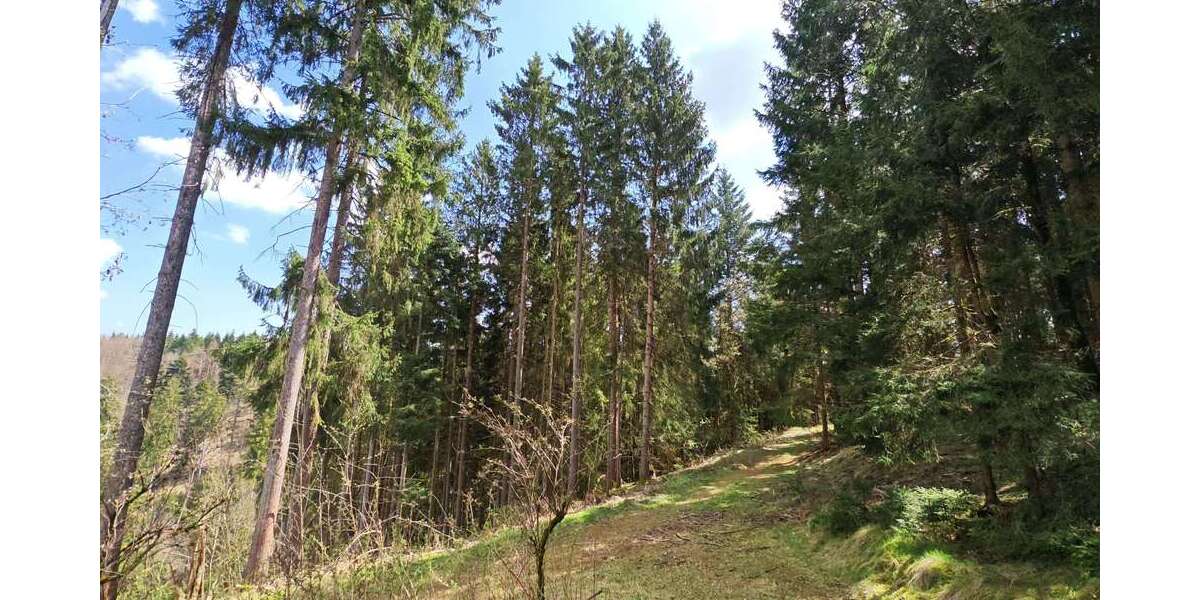 Grundstück Helmbrechts - 16.000&euro; | Angebot:26753439