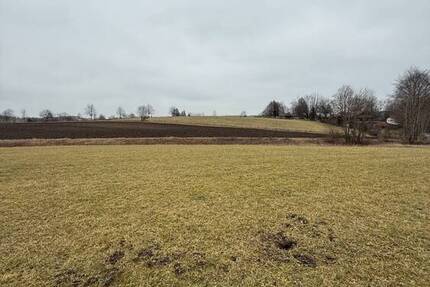 Grundstück Egling Deining - 80.000&euro; | Angebot:25686418