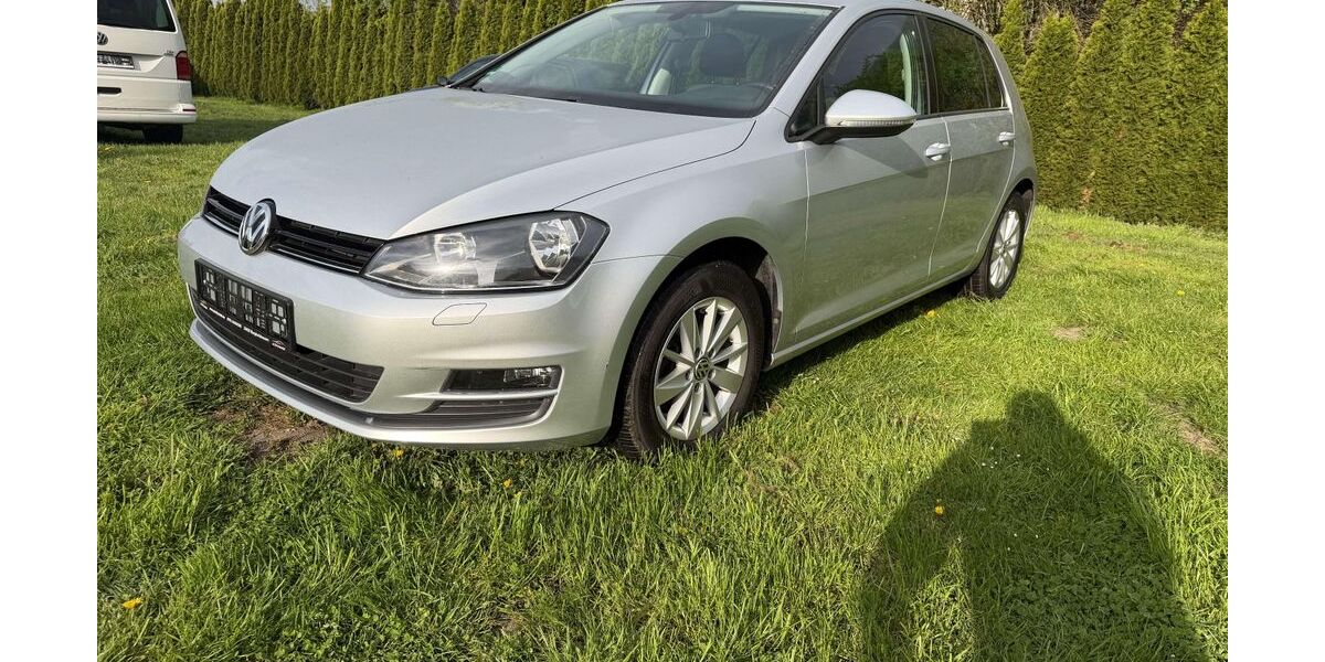 VW Golf 137.000 km 8.900 &euro; Borgholzhausen 33829