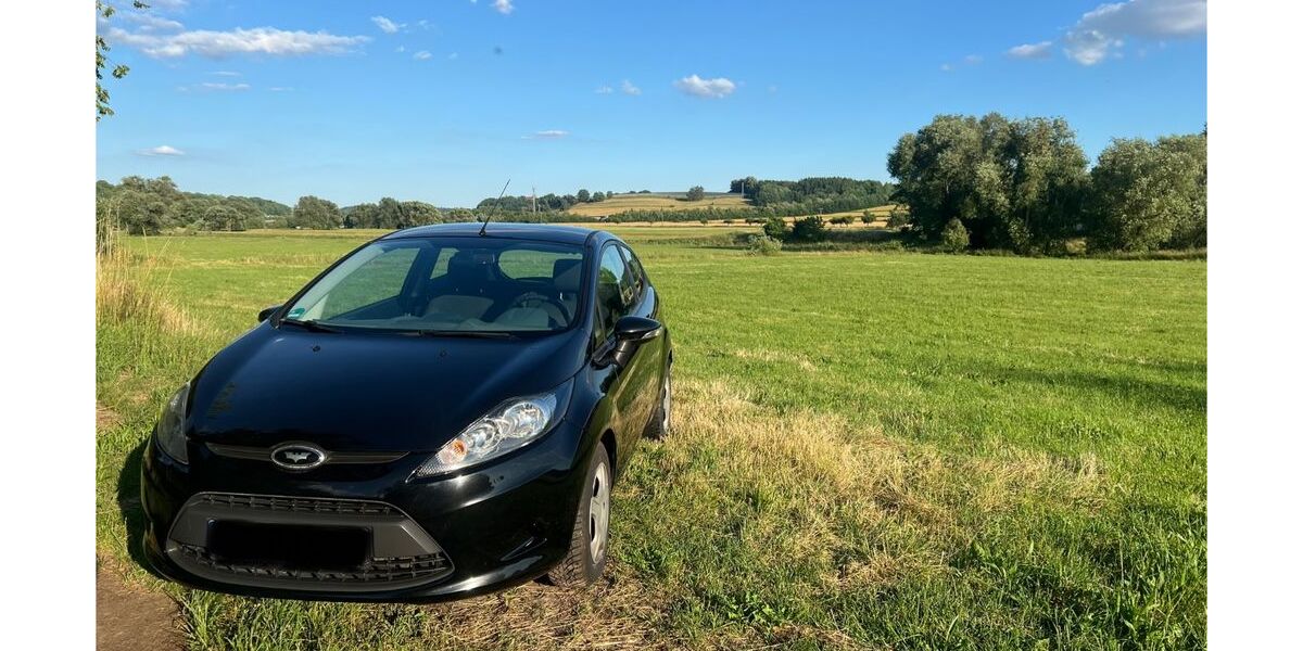 Ford Fiesta 247.000 km 1.900 &euro; Leisnig 04703