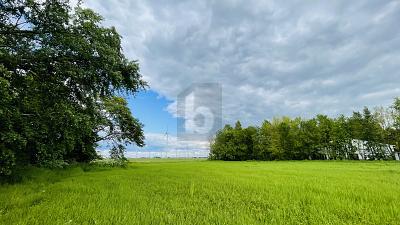 LEBEN IN DER NATUR AN DER NORDSEEKÜSTE - Grundstück Wesselburenerkoog | Angebot:25278697