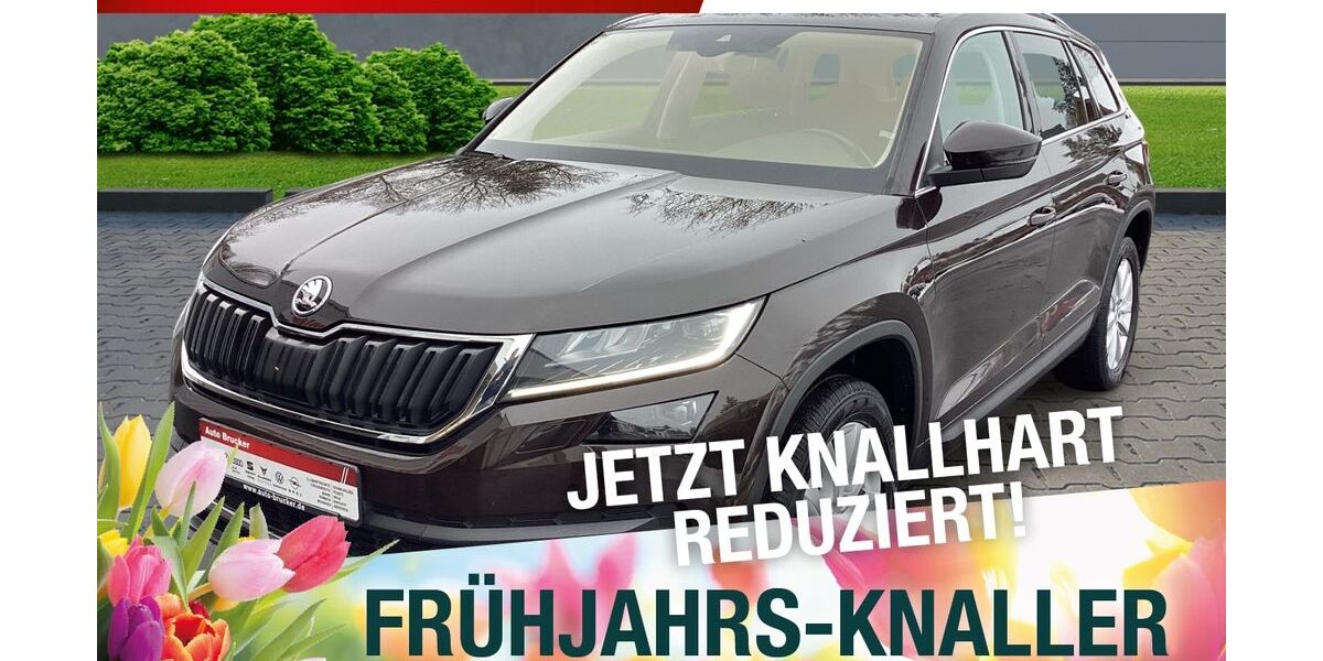 Skoda Kodiaq 137.138 km 19.870 &euro; Marktredwitz 95615