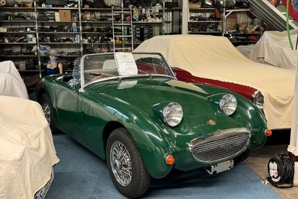 Austin Healey Andere