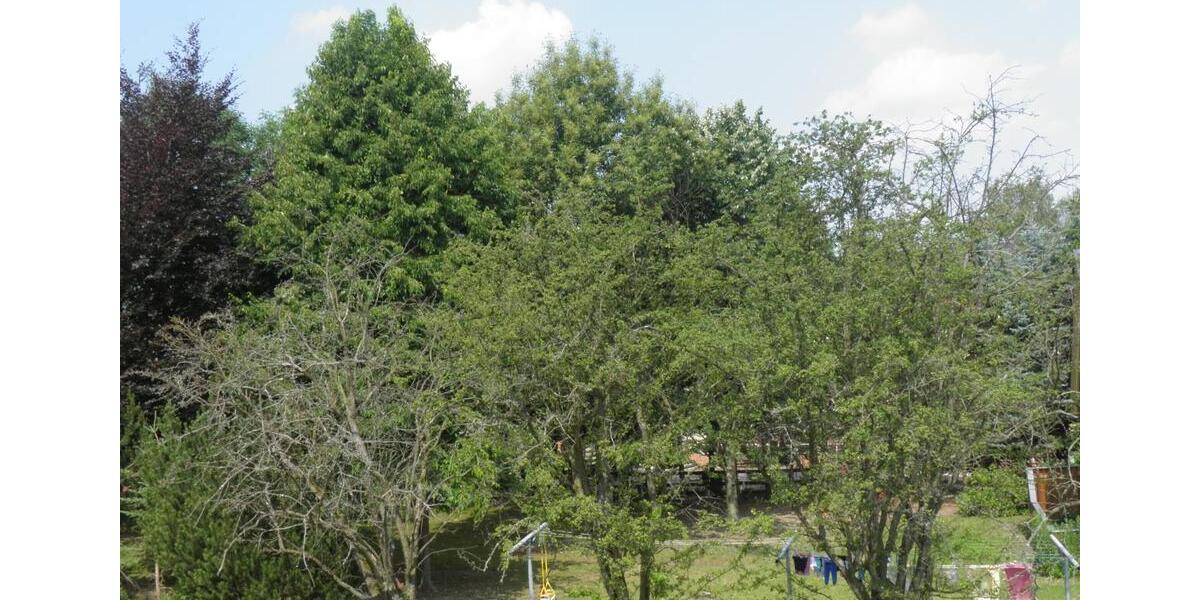 Dachgeschoßwohnung Pockau-Lengefeld Lengefeld - 3 Zimmer, 81 m&sup2;, 406&euro; | Angebot:24523683