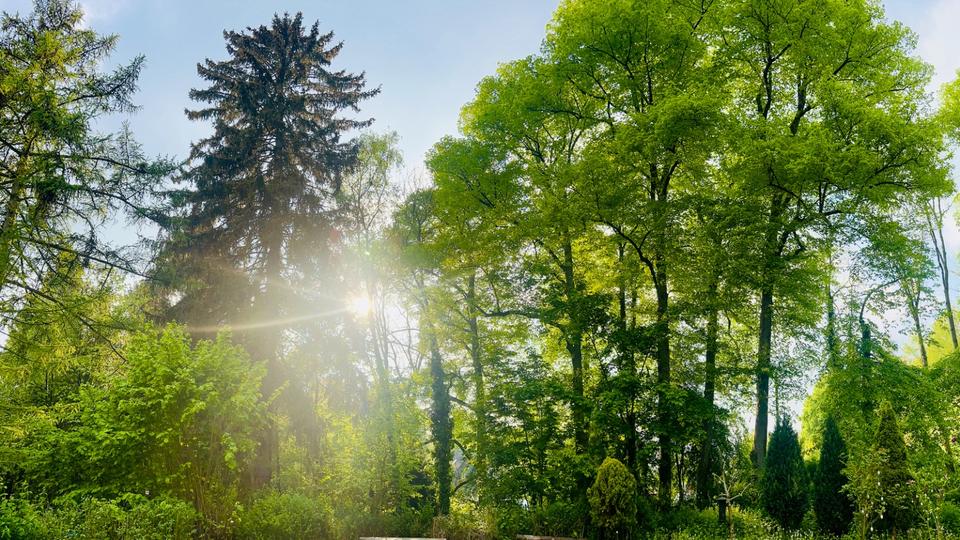 Etagenwohnung Wuppertal Gemarkung Elberfeld - 3 Zimmer, 60 m&sup2;, 600&euro; | Angebot:26023991