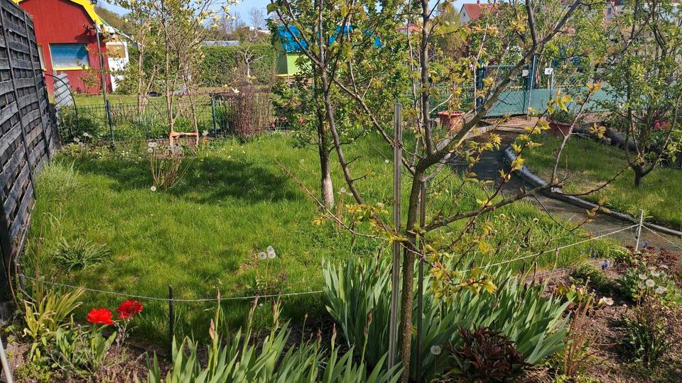 Grundstück Leipzig Nordwest - 2.000&euro; | Angebot:26375543