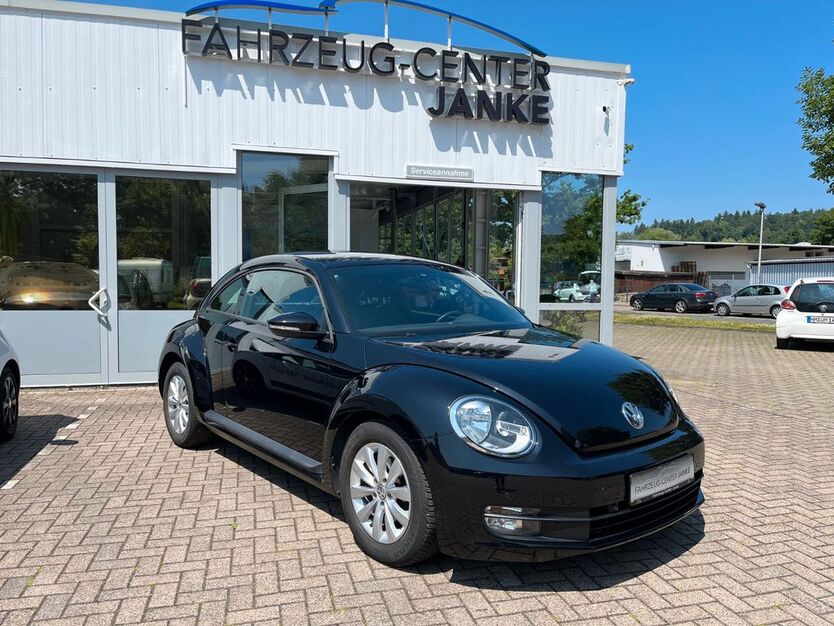 Beetle