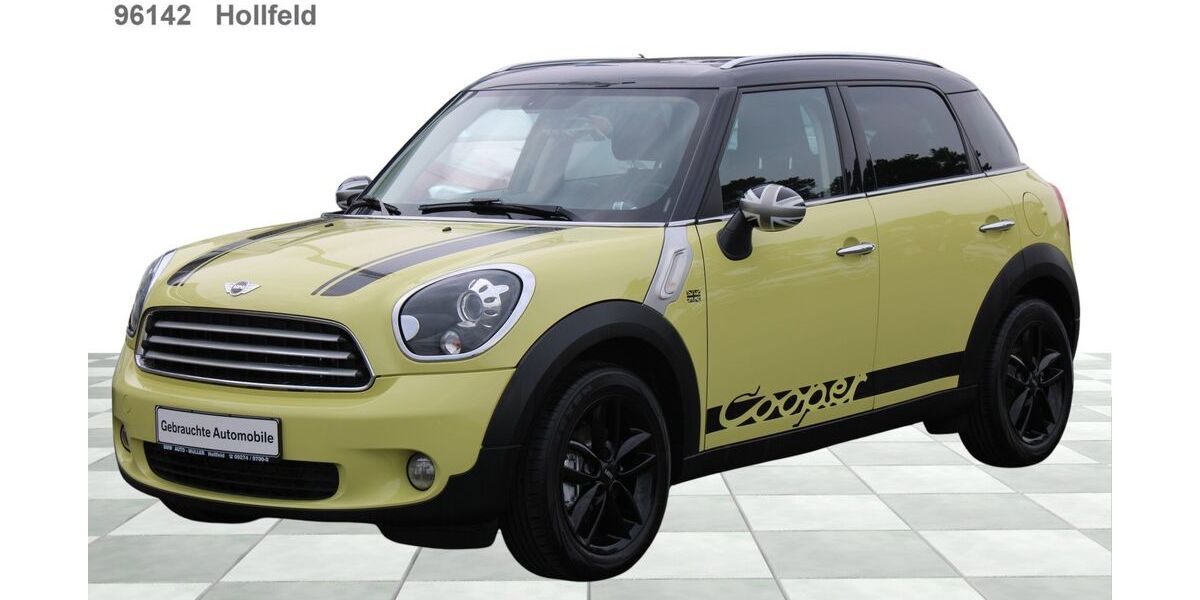 Mini Cooper Countryman 128.600 km 9.877 &euro; Hollfeld 96142