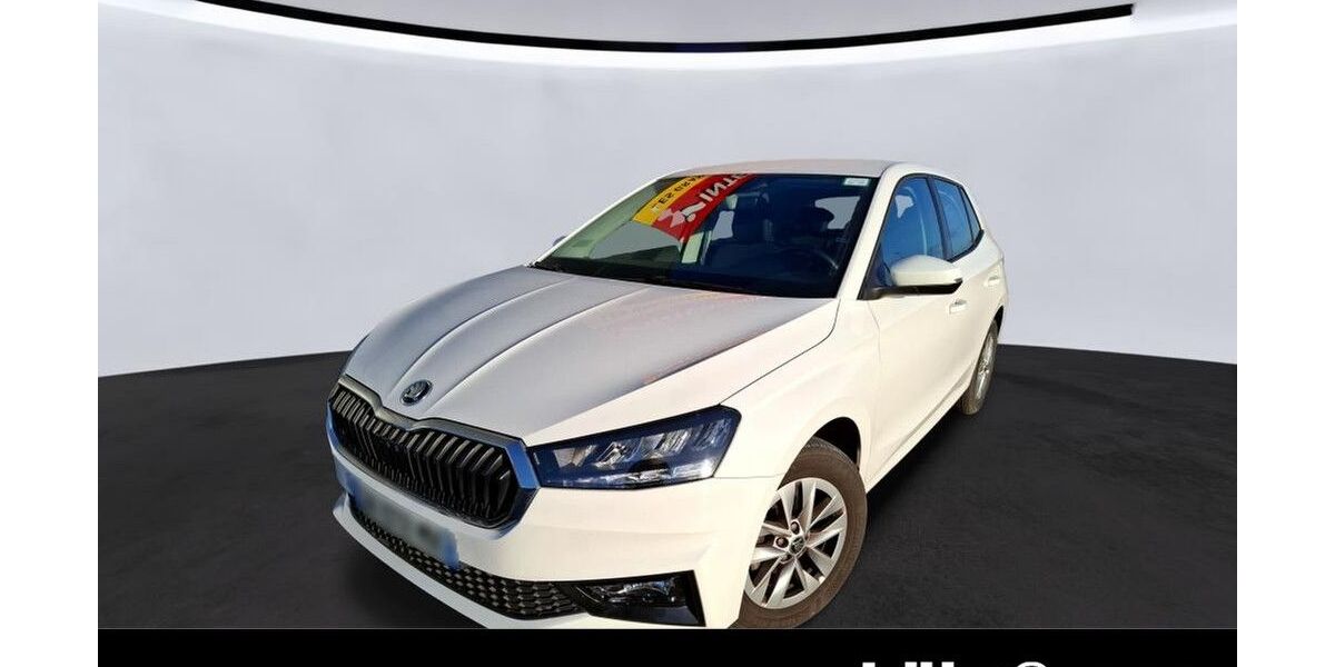 Skoda Fabia 17.954 km 15.980 &euro; Trier 54292
