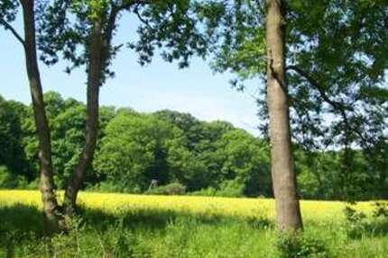 Grundstück Ballenstedt - 18.000&euro; | Angebot:21210882