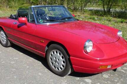 Alfa Romeo Spider
