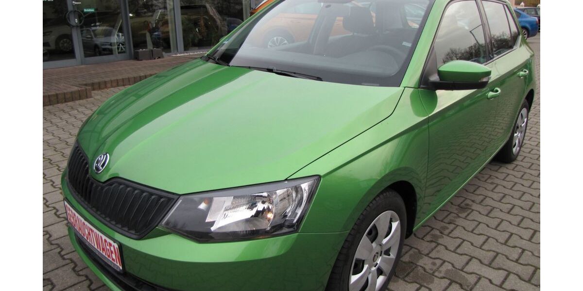 Skoda Fabia 96.350 km 8.777 &euro; Altenburg 04600