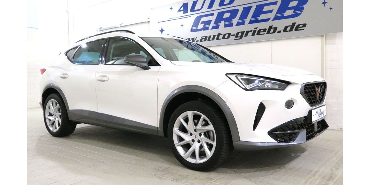 Cupra Formentor 82.800 km 24.450 &euro; Miesitz 07819