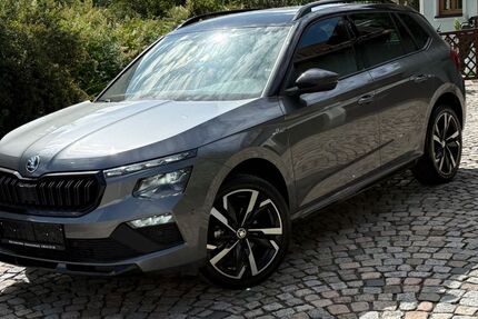 Skoda Kamiq 10.000 km 28.680 &euro; Schwarzenbach 92720