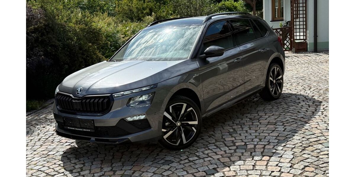 Skoda Kamiq 10.000 km 28.680 &euro; Schwarzenbach 92720