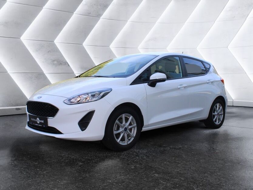 Ford Fiesta 100.500 km 9.900 € Waldkirch 79183